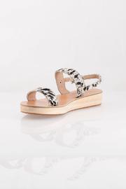 Clio Platform