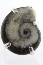  Ammonite Sterling Ring