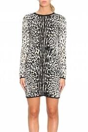  Animal-print Jacquard Dress