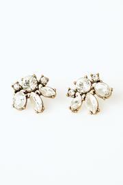  Crystal Floret Earrings