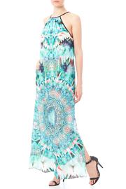 Sofia Maxi Dress
