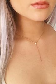  Delicate Lariat Necklace