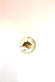  Shell Glass Paperweight