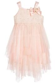  Netting Tiered Dress