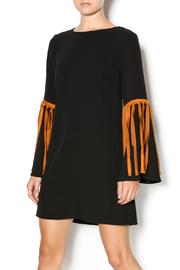  Dress With Fringe Sleeves