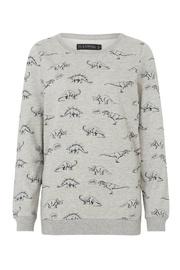  Alanis Dinosaur Sweatshirt