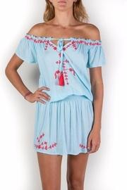  Isa Embroidered Dress
