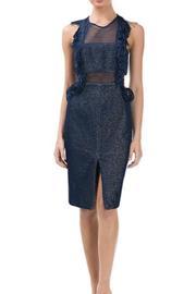  Fringe Mesh Dress