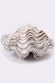  Faux Clam Shell