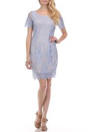 Striped Lace Dress