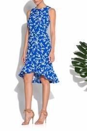  Webster Dress