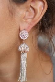  Silver Tassel Earrings