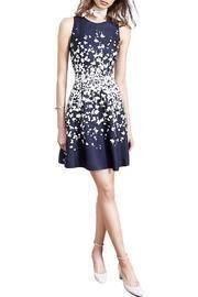  Sleeveless Fit & Flare Dress