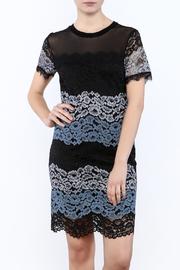  Lace Color Block Dress