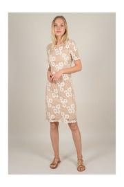  Slim Lace Dress