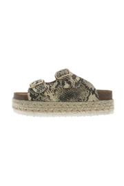  Mesa-14 Flatform