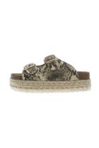  Mesa-14 Flatform