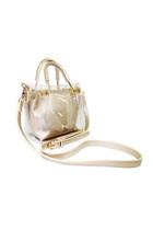  Mini Crossbody Clear Plastic With Inside Pouch
