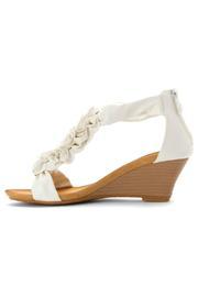  Harlequin Flower Wedge