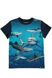  Shark Smile Top