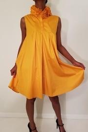  Ruffled Collar Dress