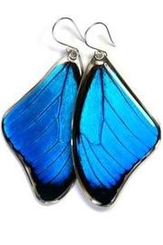  Blue Morpho Earrings