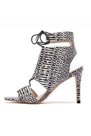  Scarlet Heel Anaconda