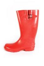  Robby Rainboot