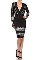  Embroidered Lace Dress