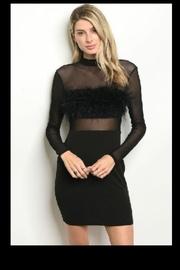  Mesh Feather Dress