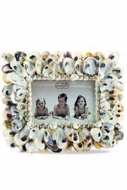  Oyster Shell Frame