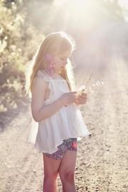  Mississippi Iris Shorts