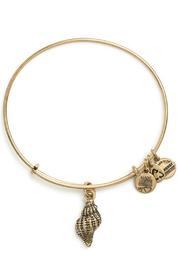  Conch Shell Bangle