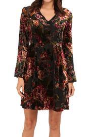  Burnout Velvet Dress