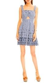  Erica Striped Dress