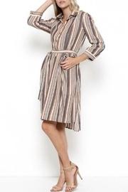  Ruffle Stripe Dress
