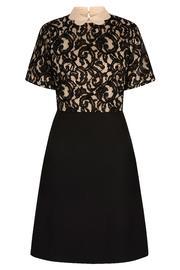  Scalloped Collar Dress