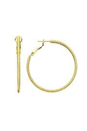 Golden Hoop Earrings