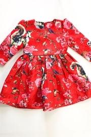  Red Rabbit Dress