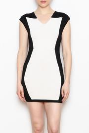  Fitted Mini Dress