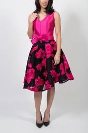  Pink Bellarina Dress