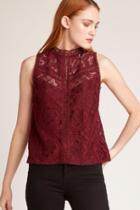  Play Nice Lace Top
