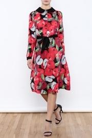  Vintage Apple Dress