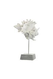  Shell Deco