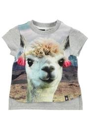  Erin Llama Top