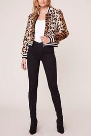 Cat Power Bomber