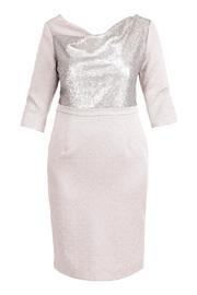  Sequin Silver Dress