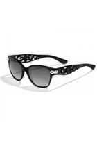  Contempo Chic Sunglasses