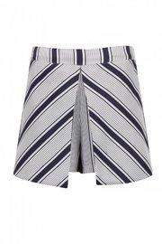  Stripe Print Shorts