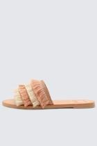  Celaya Fringe Slides